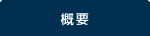 概要