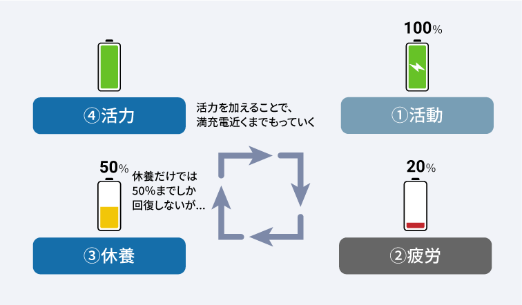 【図表】理想の休養サイクル