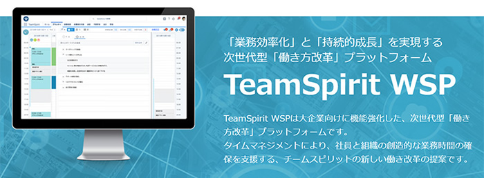 「TeamSpirit WSP」とは