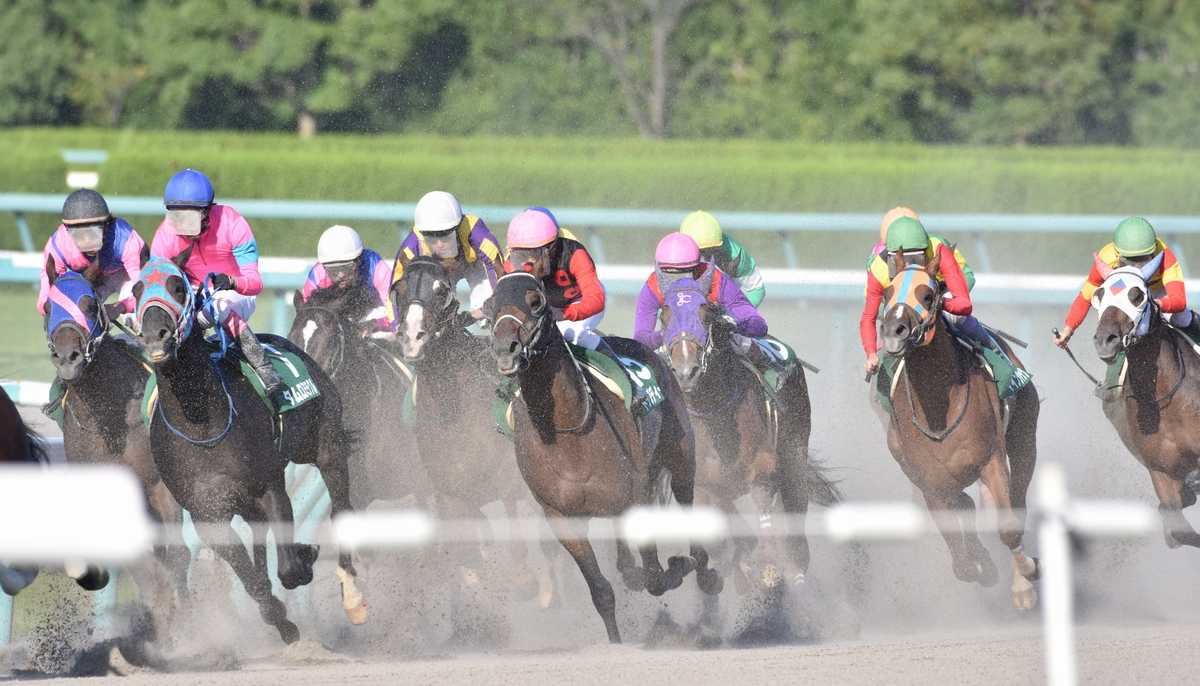 女性騎手のg1レース初騎乗でも注目 復活した競馬人気を支える 騎手 に必要な適性とは 日本の人事部