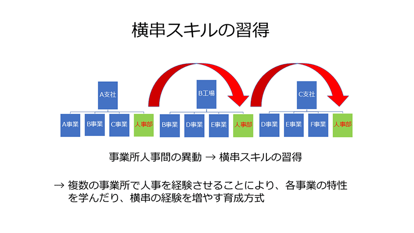 【図表】横串スキルの習得