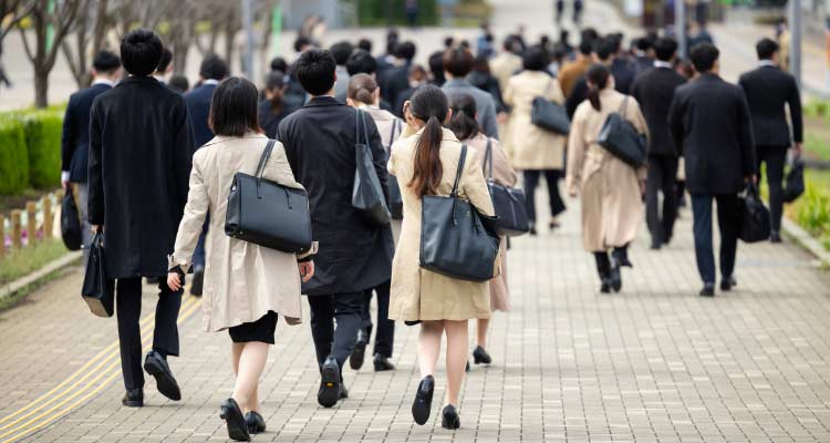 なぜホワイトカラーは減らなかったのかイメージ画像