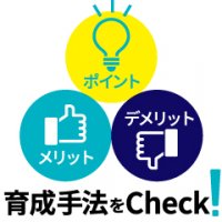 人材育成の手法比較表・フローチャート