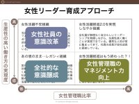 組織タイプ別・女性リーダー育成アプローチ