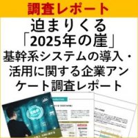 【独自調査レポート】迫まりくる「2025年の崖」『基幹系システムの導入・活用に関する企業アンケート調査レポート』