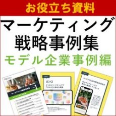 【お役立ち資料】マーケティング戦略事例集－モデル企業事例編－