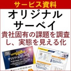 【サービス資料】オリジナルサーベイ～貴社固有の課題を調査し、実態を見える化～