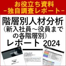 【独自調査レポート】階層別人材分析レポート2024ー新入社員～役員までー人材育成・組織風土の醸成に向けた取り組み参考情報