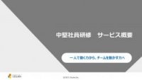 【LDcube】中堅社員研修サービス概要~一人で動く力から、チームを動かす力へ