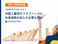【外国人労働者保険】社会保険だけで本当に大丈夫？外国人雇用のリスクヘッジに任意保険の加入が必要な理由