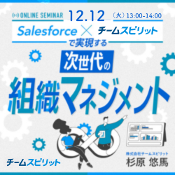 株式会社チームスピリット