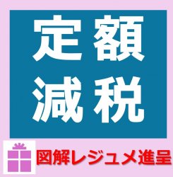 図解レジュメ付！「定額減税Q&A読み解きセミナー」

定額減税の基本知識を押さえ
月次減税開始～年調減税で生じるよくある事例を
わかりやすく網羅的に解説します！