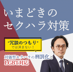 いまどきのセクハラ対策
～冗談のつもりでは済まない！ 対価型セクハラの刑罰化とLGBT対応～