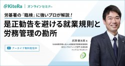 株式会社KiteRa