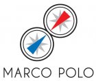 【MARCO POLO】組織 ＆ 人材構造分析_画像